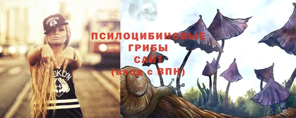 сатива Алзамай